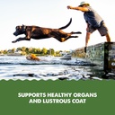 grizzly-pet-productsalgal-plus-omega-3-6-4.jpg