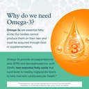 youtheory-ocean-friendly-omega-vegan-alg-4.jpg