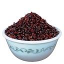 yuvika-kamarkas-gond-chunia-butea-frondo-2.jpg
