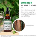 nutramedix-daily-immune-support-suppleme-5.jpg