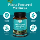 chlorophyll-capsules-for-cleanse-and-det-3.jpg