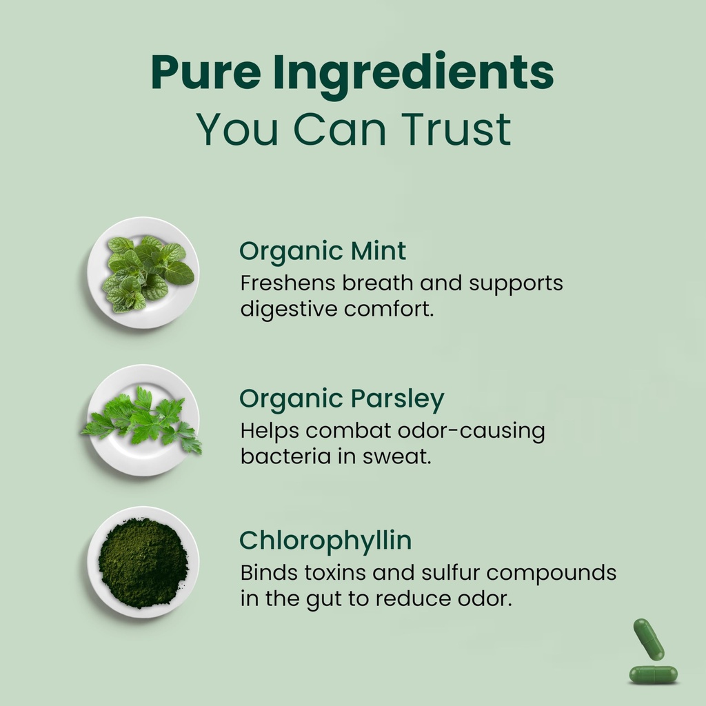 whole-body-natural-deodorizing-supplemen-4.jpg
