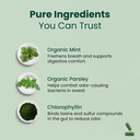 whole-body-natural-deodorizing-supplemen-4.jpg