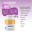 nature-s-stance-xylident-xylitol-tablets-3.jpg