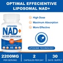 2200mg-liposomal-nad-supplement-60-capsu-6.jpg