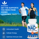 2200mg-liposomal-nad-supplement-60-capsu-5.jpg