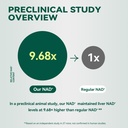 nad-supplement-with-nicotinamide-ribosid-4.jpg