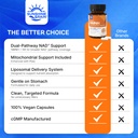 sunshine-rain-nmnh-supplement-920mg-lipo-4.jpg