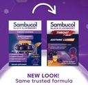 sambucol-black-elderberry-pastilles-20-c-2.jpg