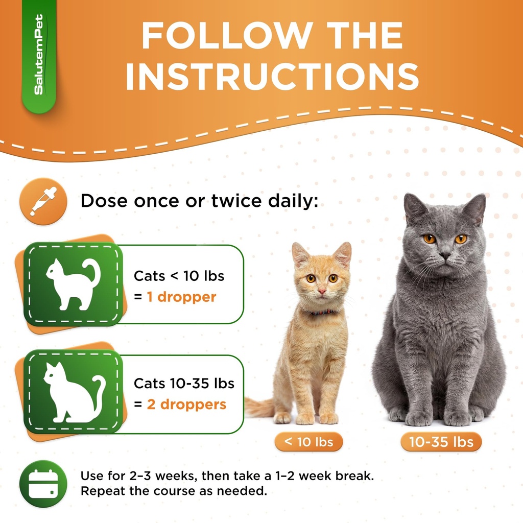 cat-probiotic-helps-with-colic-upset-sto-5.jpg