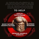 androstar-hardcore-natural-testosterone--3.jpg