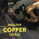 redmond-all-natural-sheep-mineral-supple-4.jpg