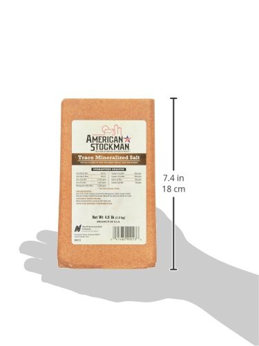 north-american-salt-90013-trace-mineral--2.jpg