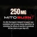 jacked-factory-burn-xt-max-thermogenic-f-5.jpg