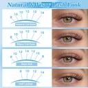 kevkev-wispy-lash-clusters-ultra-thin-ba-6.jpg