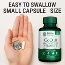 prime-code-3-coq10-250mg-with-magnesium--5.jpg