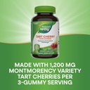 nature-s-way-tart-cherry-ultra-gummies-a-4.jpg
