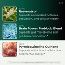 sharper-memory-brain-supplement-for-memo-5.jpg