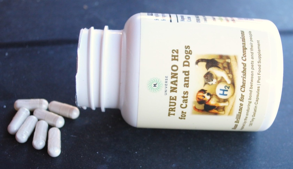for-cats-dogs-advanced-molecular-hydroge-5.jpg