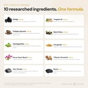 formulation-factory-self-obsessed-10-in--4.jpg