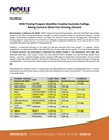 bear-balanced-creatine-gummies-for-men-w-3.jpg