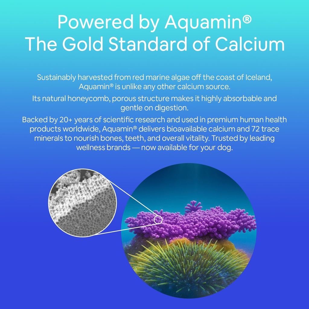 seaweed-calcium-for-dogs-cats-14oz-calci-2.jpg