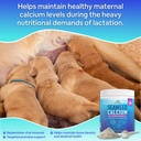 seaweed-calcium-for-dogs-cats-14oz-calci-4.jpg