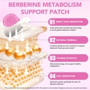 berberine-patches-herbal-adhesive-wellne-6.jpg