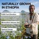 ethiopian-black-seed-oil-capsules-1000mg-5.jpg