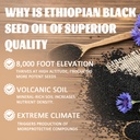 organic-ethiopian-black-seed-oil-softgel-6.jpg