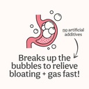 wonderbelly-bloat-gas-relief-extra-stren-6.jpg