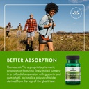 swanson-theracurmin-herbal-supplement-su-6.jpg