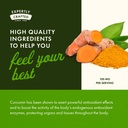 swanson-theracurmin-herbal-supplement-su-5.jpg