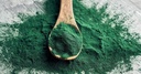 klamath-blue-green-algae-blue-green-alga-3.jpg