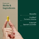 gaia-herbs-pro-boswellia-joint-formula-j-4.jpg