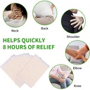 50-pcs-mint-menthol-capsaicin-patches-s--3.jpg