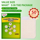 50-pcs-mint-menthol-capsaicin-patches-s--6.jpg