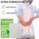 20-pcs-menthol-relief-patches-cool-back--2.jpg