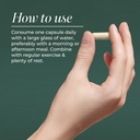 primal-harvest-probiotic-daily-supplemen-4.jpg