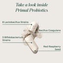 primal-harvest-probiotic-daily-supplemen-3.jpg
