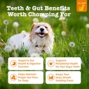 zesty-paws-orastix-for-dogs-probiotic-st-2.jpg