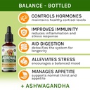dr-n-l-balance-for-dogs-and-cats-cushing-2.jpg