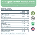 future-kind-carrageenan-free-foundations-5.jpg