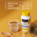 healthy-origins-pycnogenol-100-mg-60-veg-6.jpg