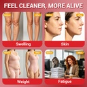 32-in-1-kidney-liver-lymph-cleanse-detox-5.jpg