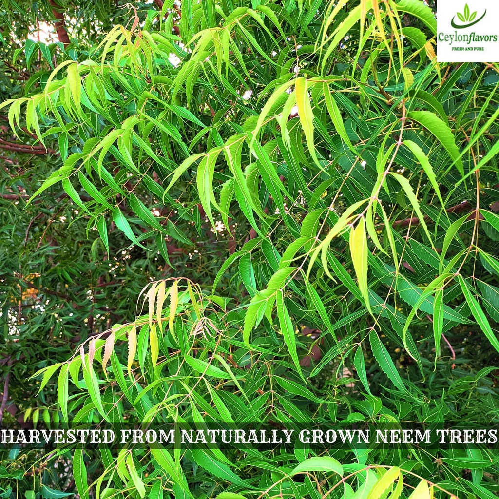 ceylon-flavors-fresh-pure-naturally-grow-6.jpg