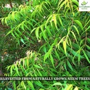 ceylon-flavors-fresh-pure-naturally-grow-6.jpg