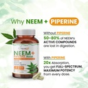 neem-leaf-extract-piperine-300mg-120-cap-2.jpg