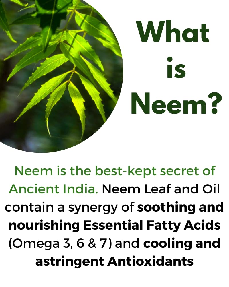 organic-moringa-400mg-neem-leaf-500mg-ca-3.jpg