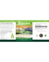 moringa-leaf-capsules-organic-american-g-2.jpg